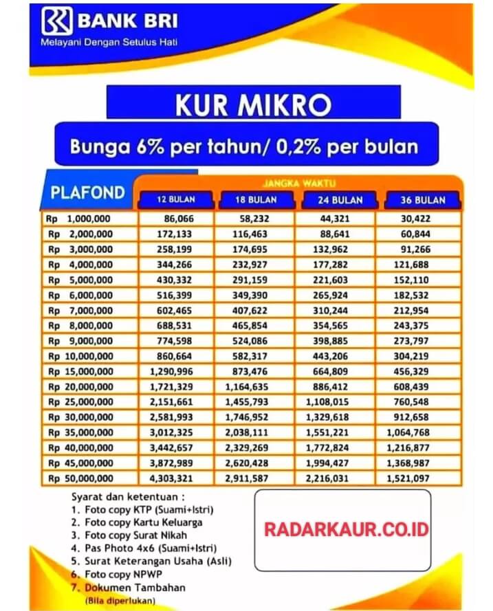 Pinjaman KUR BRI Mikro 2023 Rp50 Juta tanpa Jaminan Langsung Cair, Cicilan hanya Rp 900 ribu per bulan