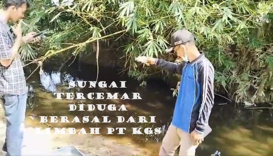 Limbah Pabrik CPO PT KGS Diduga Cemari Sungai Perumbayan dan Sungai Kulik di Kaur 