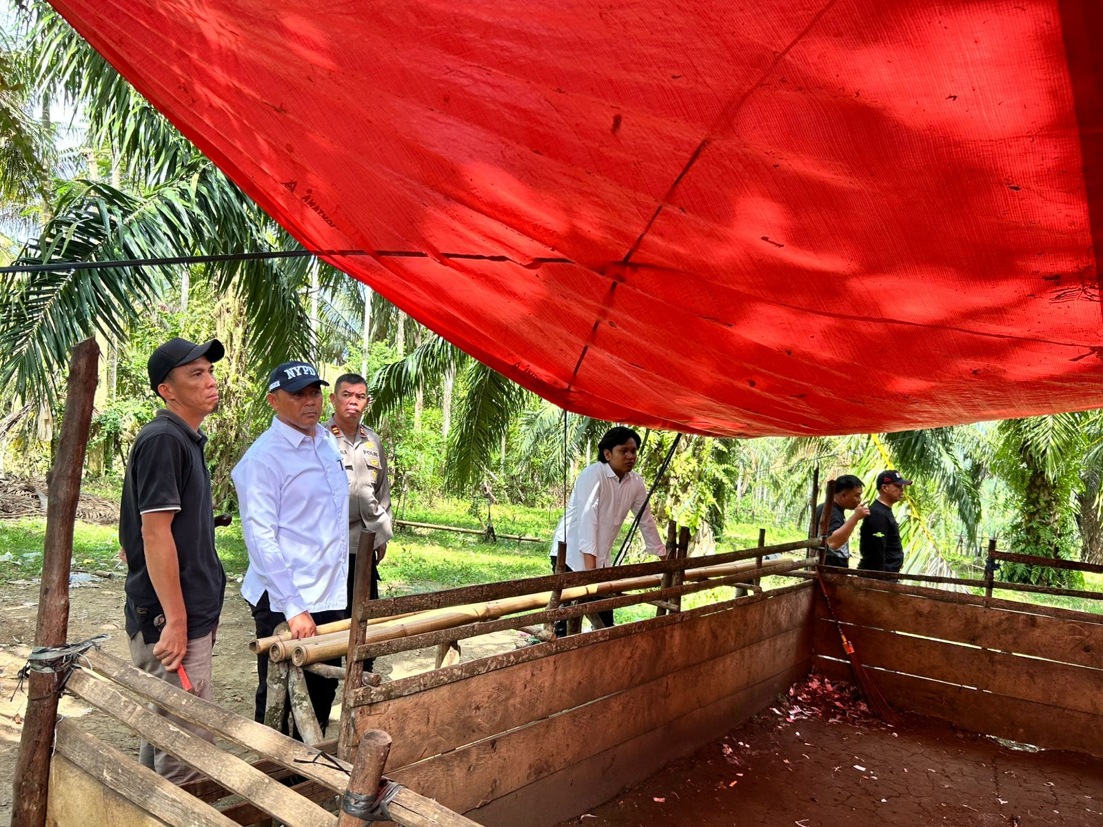 Polres Kaur dan Tripika Tanjung Kemuning Musnahkan Arena Judi Sabung Ayam