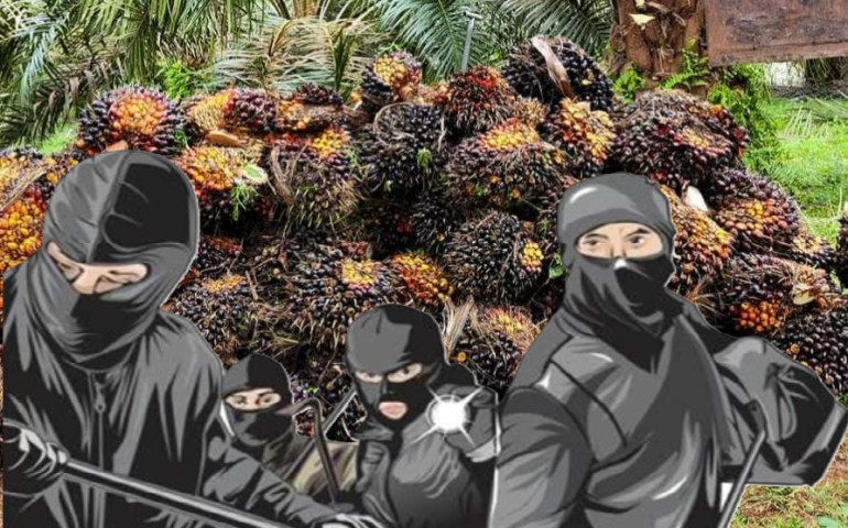 Modus Ninja Sawit Terbongkar, Polsek Amankan 2 Pelaku dan 1 Ton Barang Bukti