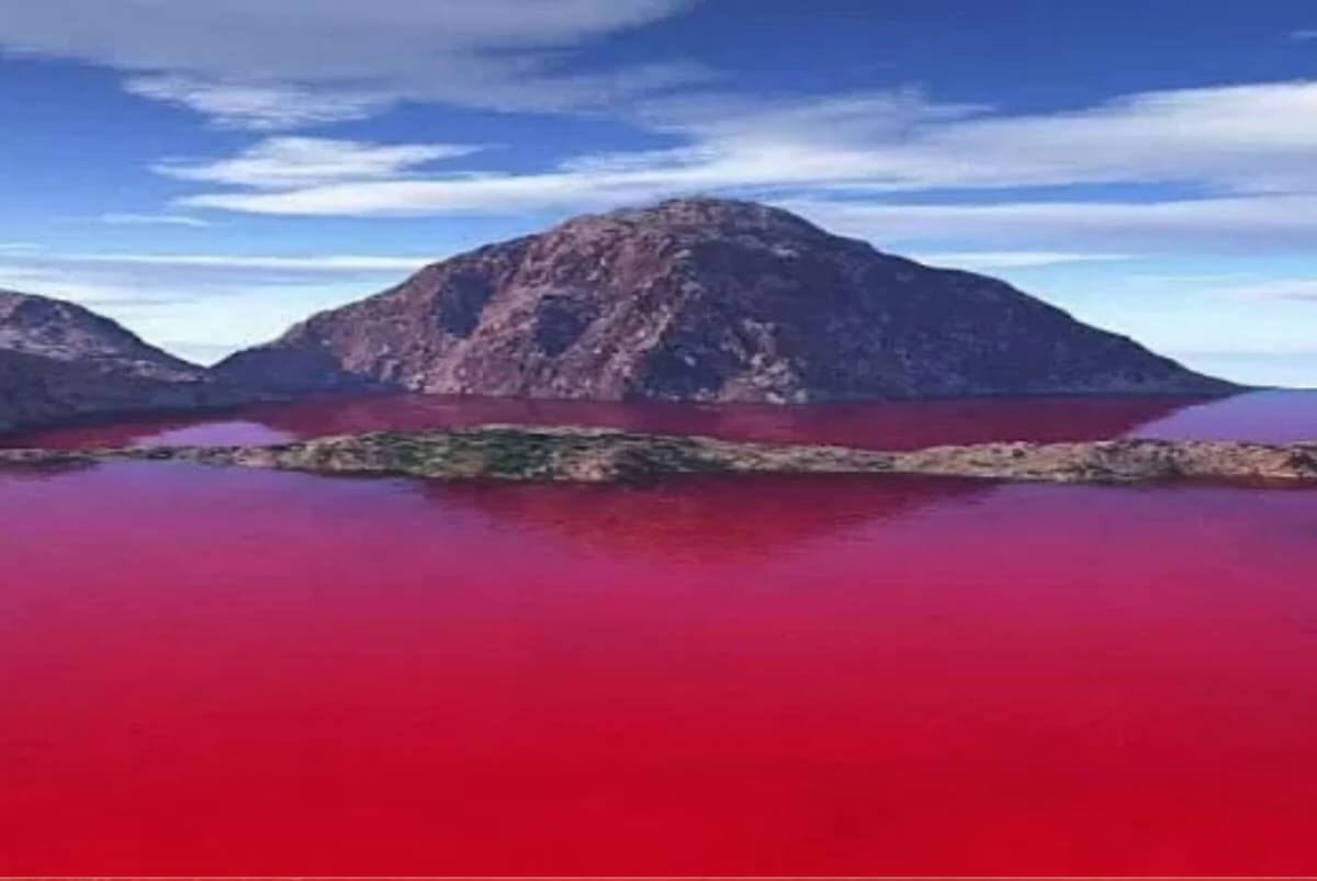 Fakta Danau Merah Rimba Candi, Cagar Alam Penuh Misteri di Antara Pagar Alam Sumsel dan Kaur Bengkulu