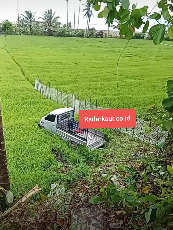 Gara-gara Jalan Licin, Mobil Nyungsep ke Sawah di Desa Mentiring