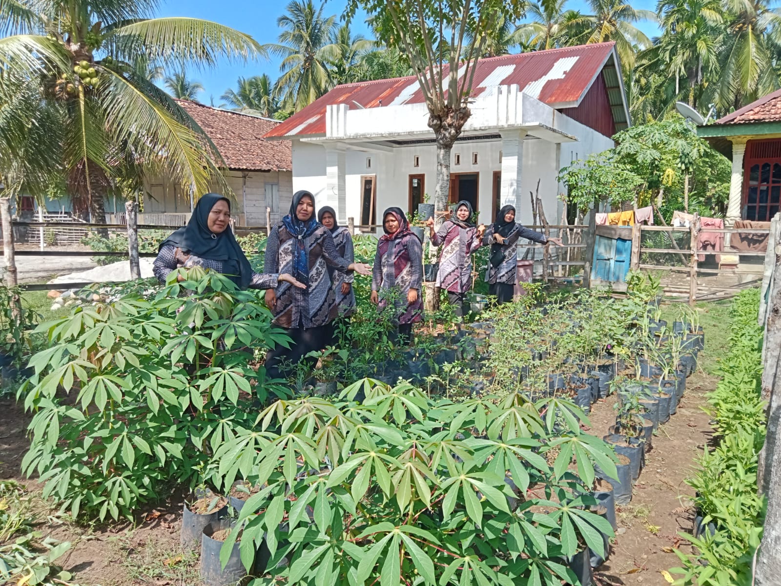 Tim PKK Desa Awat Mata Manfaatkan Pekarangan jadi Kebun Sayur dan Toga