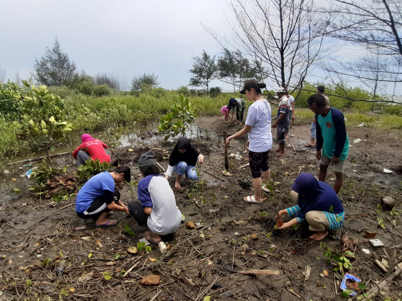 Bergabung dalam Misinya: Program Voluntir LindungiHutan untuk Penanaman Pohon, Mari Bersama Merawat Alam