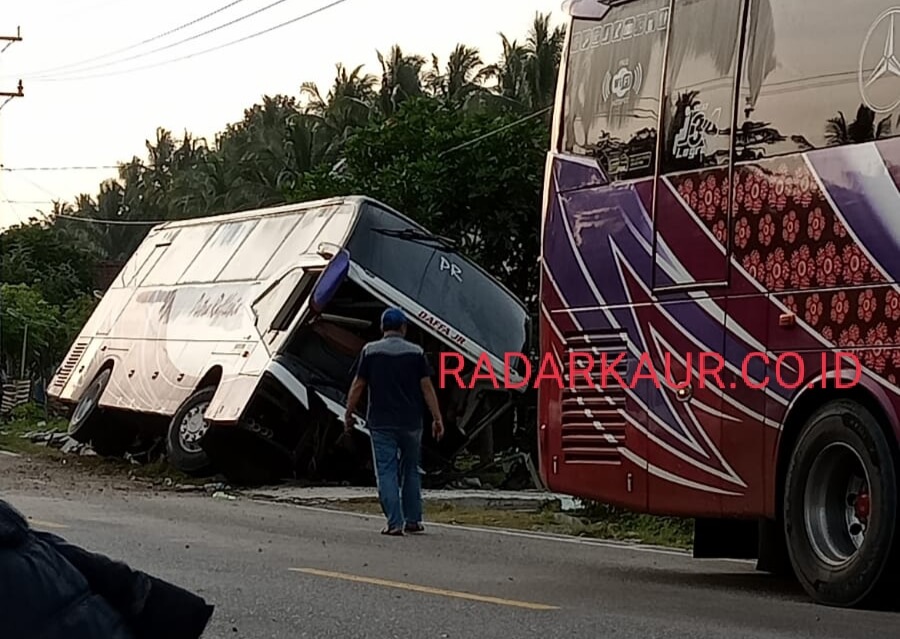 Sopir Mengantuk, Bus Putra Raflesia Masuk Siring 