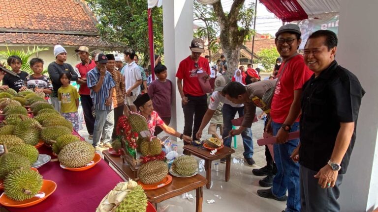 Kontes Durian Lokal Digelar Akhir Agustus