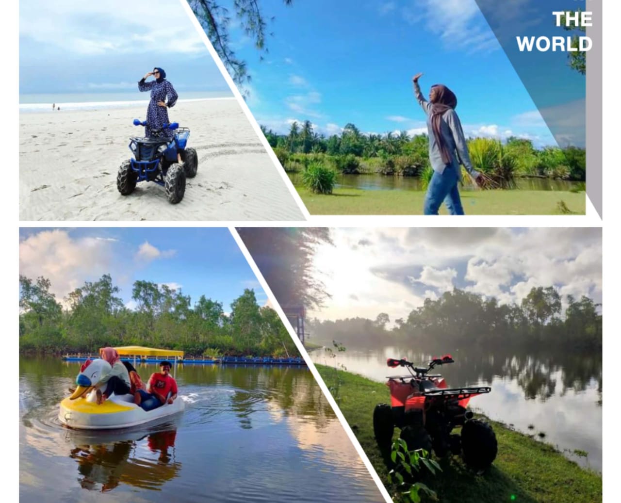 Misteri Bertemunya Danau Kembar dan Pantai Pasir Putih di Kaur, Kekayaan Hutan Mangrove Bengkulu