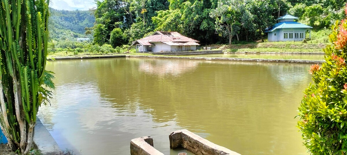 12 Kolam BBI Berisi Ikan, 38 Kolam Kosong