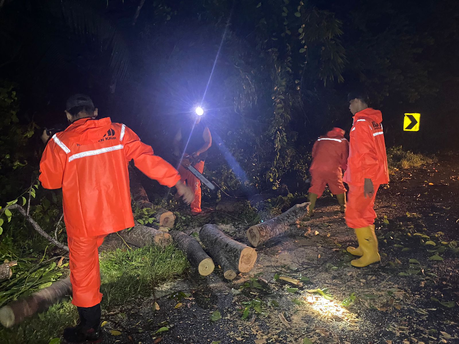 Pohon Tumbang di Tiga Titik, BPBD Kaur Beri Respon Cepat, Arus Lalu Lintas Kembali Normal