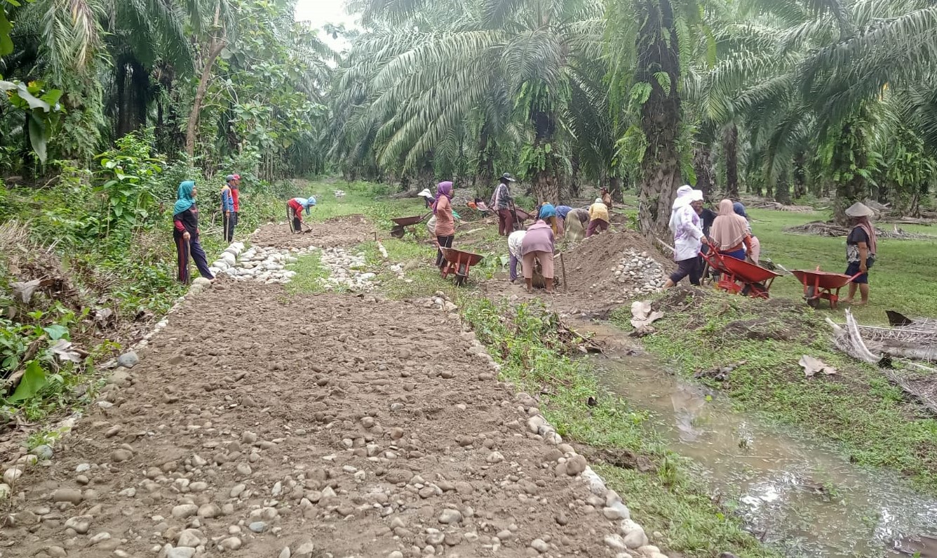 Pembangunan Jalan Usaha Tani Desa Tanjung Harapan Berdayakan Tenaga Kerja Wanita