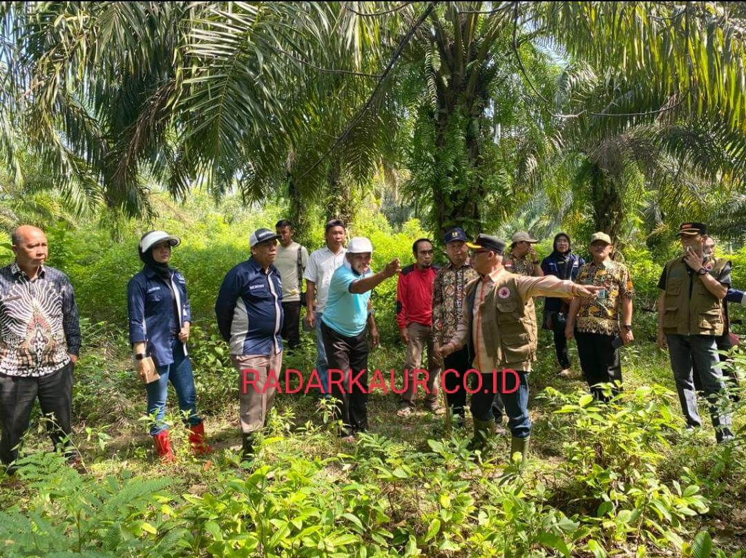 Titik Nol Jalan Baru di Padang Kempas