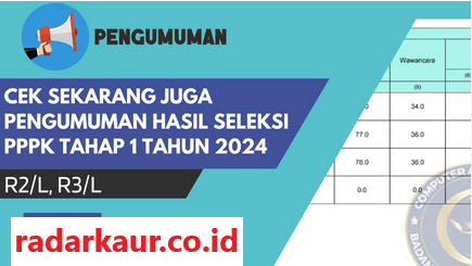 Pengumuman Kelulusan PPPK 2024 Tahap I Kabupaten Kaur Molor Tahun Depan?