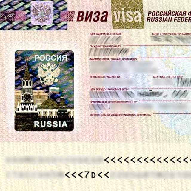 KABAR TERBARU, Ini Cara Memperoleh e-Visa Rusia Aktif mulai 1 Agustus 2023 bagi 52 Negara, Termasuk Indonesia 