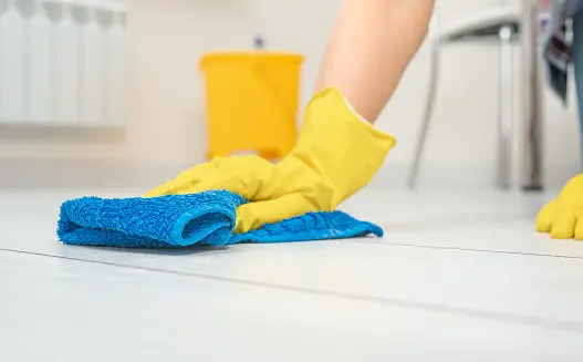 5 Elemen Penting dalam Memilih Layanan Cleaning Service, Temukan Penyedia Jasa Berkualitas