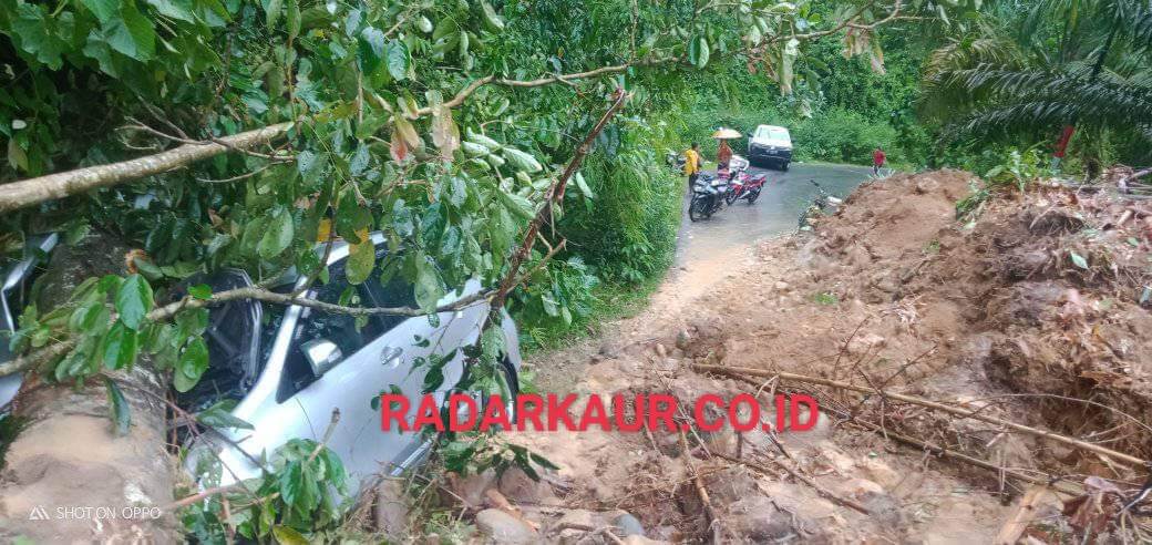 Mobil Avanza Tertimpa Pohon di Jalan Lintas Provinsi yang Tertutup Longsor