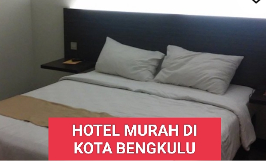 7 Hotel Murah di Kota Bengkulu, Cocok buat Staycation Libur Sekolah, Harga  Mulai dari Rp 70 Ribuan