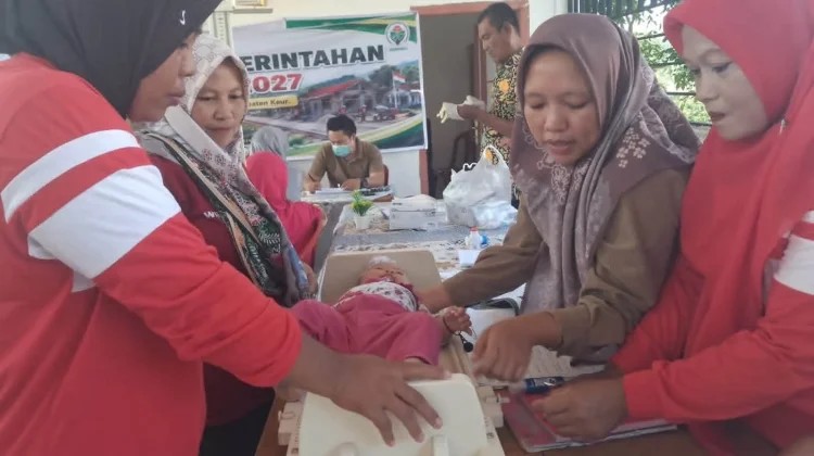 Dinkes Kaur Prioritaskan Penanganan Angka Kematian Ibu dan Bayi