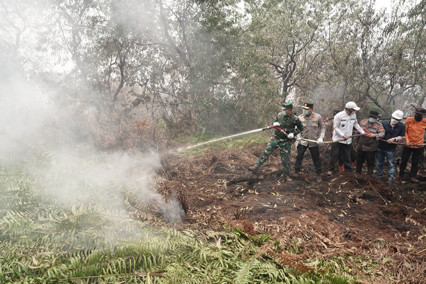 Hotspot di Sumatera Terdeteksi 2.945 Titik, Terbanyak di Provinsi Tetangga