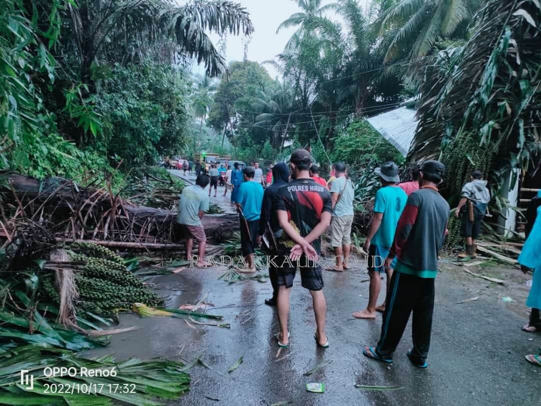 BREAKING NEWS: Pohon Aren Roboh Tutupi Jalan Raya, Listrik Ikut Padam
