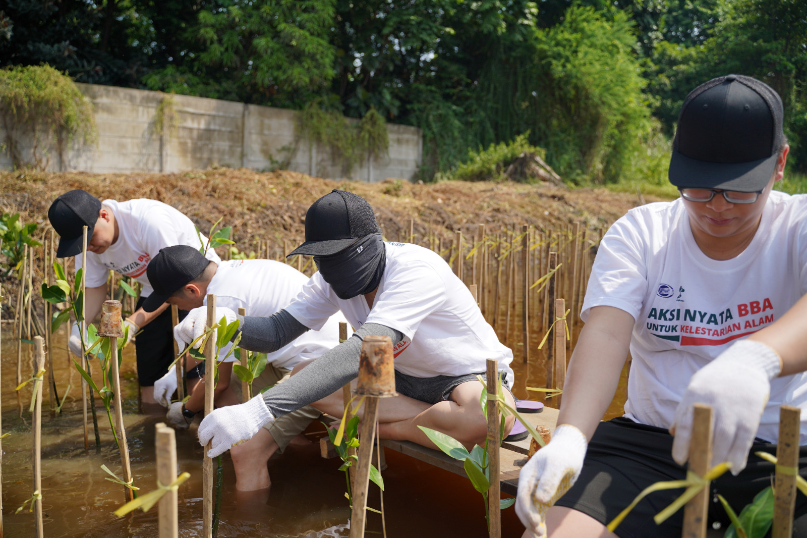 Bank Bumi Arta Menunjukkan Kesetiaan dengan Menanam 500 Bibit Mangrove di Pantai Indah Kapuk