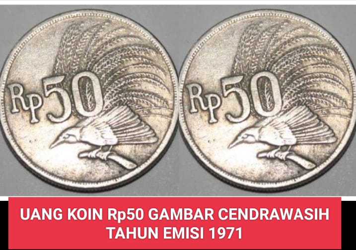 Uang Kuno Rp50 tahun 1971 Gambar Burung Cendrawasih Dicari Para Kolektor di Indonesia
