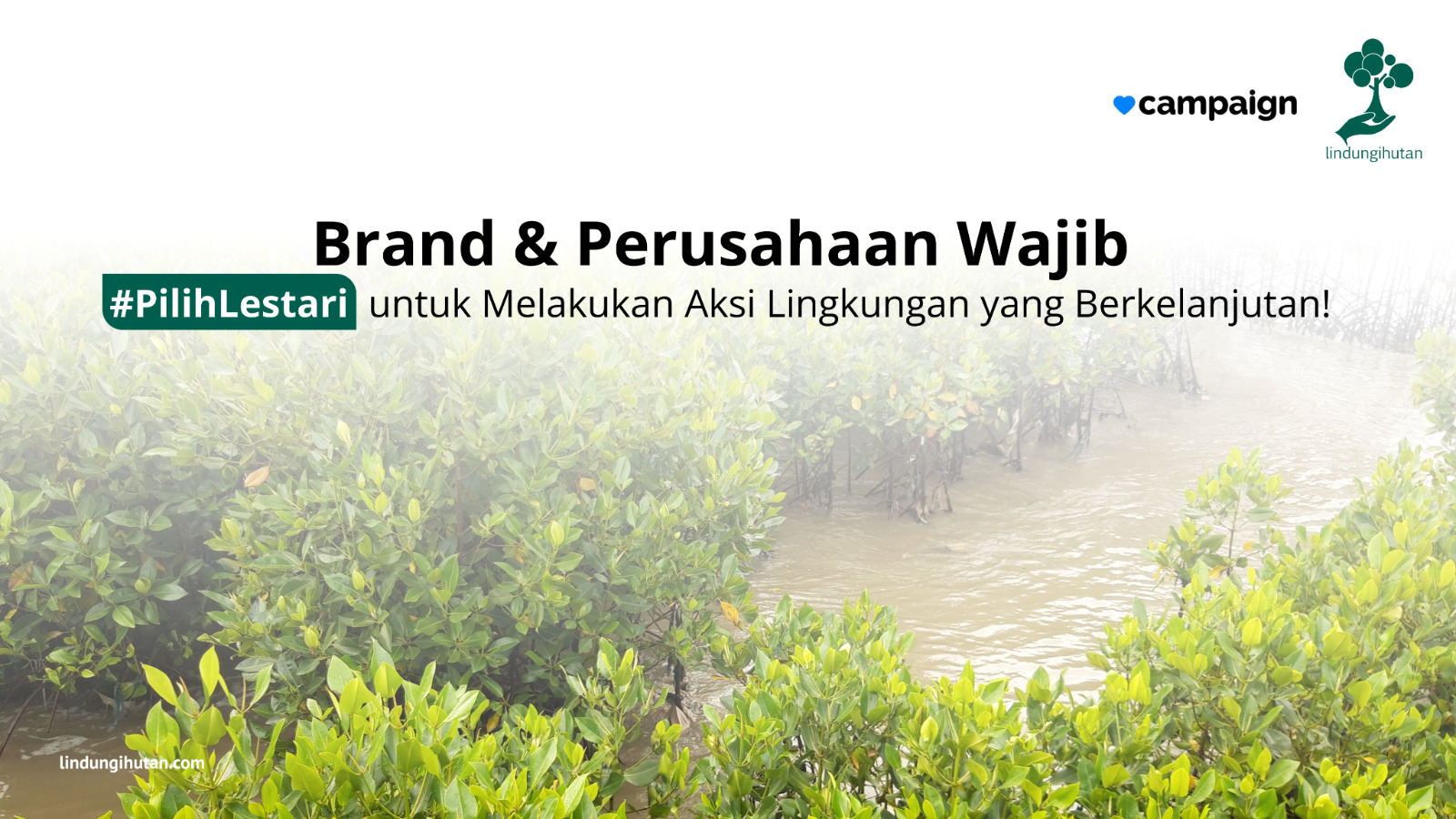 LindungiHutan gagas Sinergi Strategis dengan Campaign dalam Program #PilihLestari untuk Konservasi Lingkungan