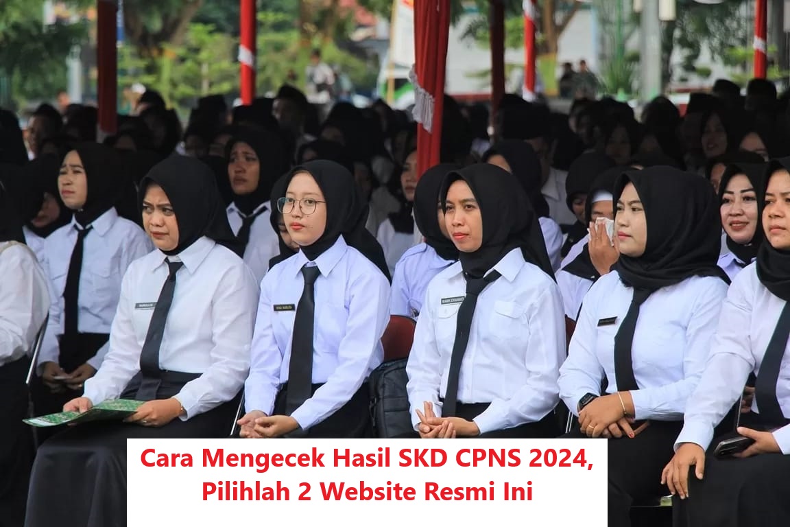 Cara Mengecek Hasil SKD CPNS 2024, Pilihlah 2 Website Resmi Ini