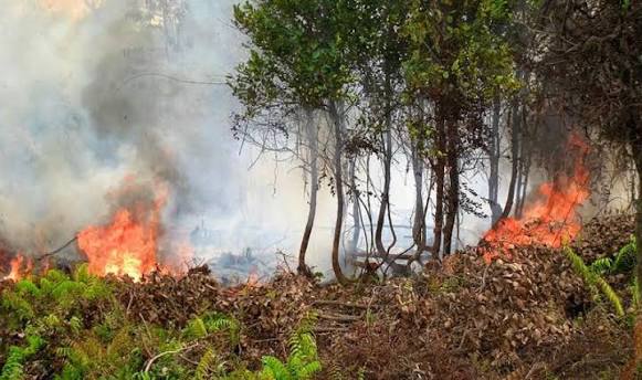 Masyarakat Diimbau Tidak Buang Puntung Rokok dan Bakar Sampah Sembarangan