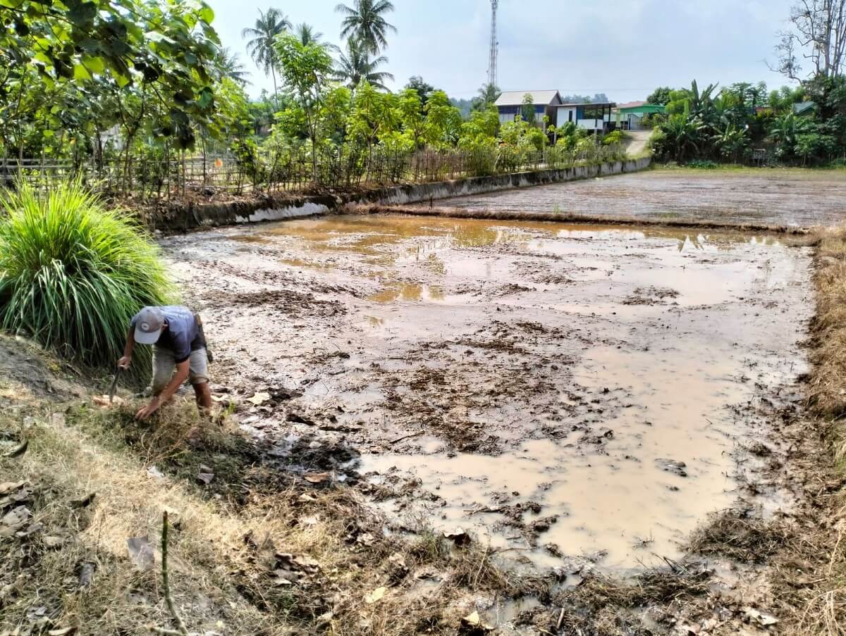 Petani Kecewa Berat dengan PPL