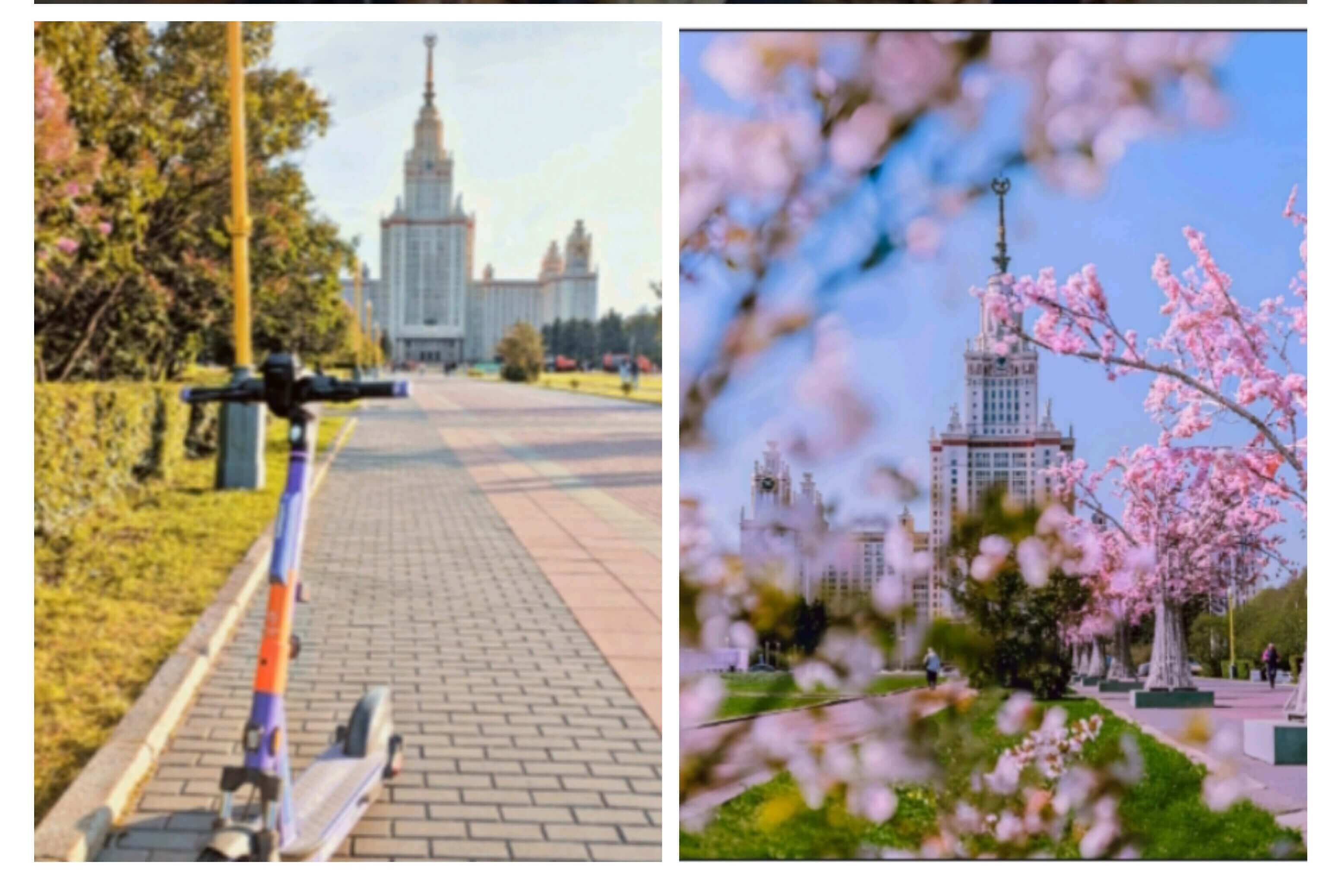 2 Jenis Universitas Terkemuka di Rusia, Minat Belajar ke Negeri Beruang Merah? 