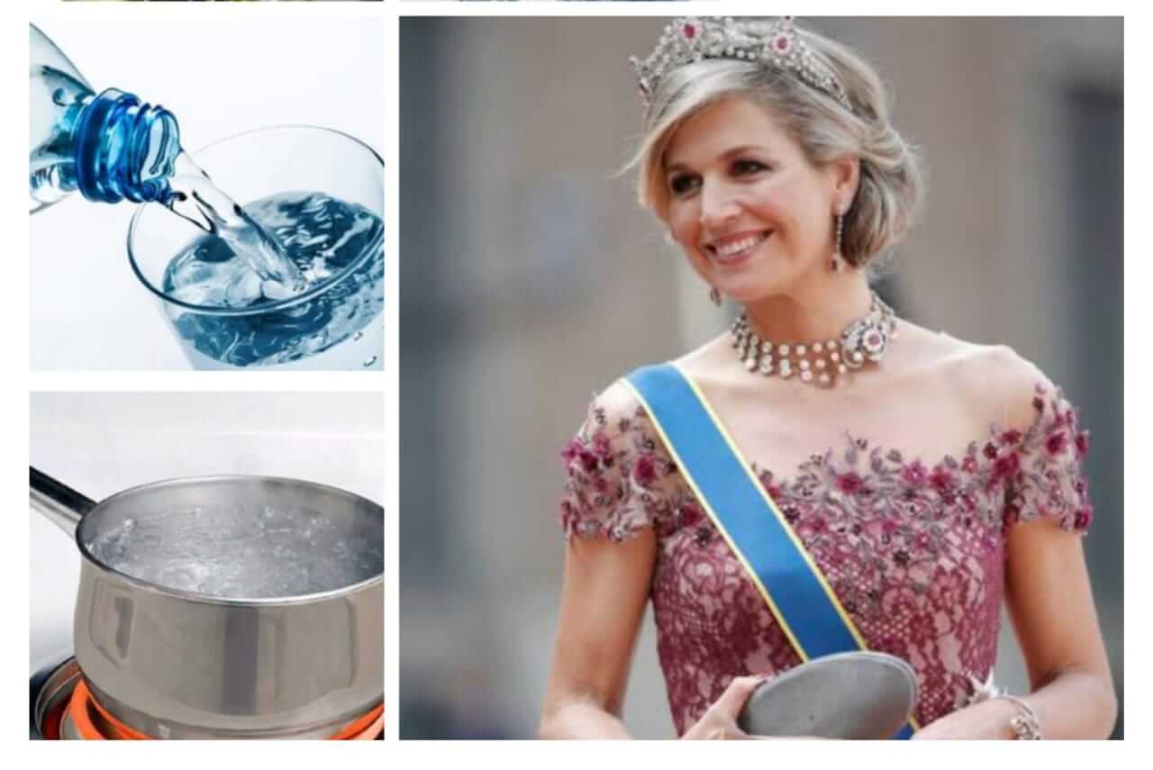 Ratu Belanda Pilih Mana? Air Rebusan vs Air Mineral, Anda Pasti Berpikir Ulang Setelah Baca Ini