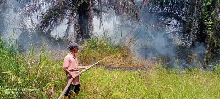 TNI Polri dan Warga di Kaur Berjibaku Padamkan Api yang Membakar Lahan dekat Pemukiman Warga
