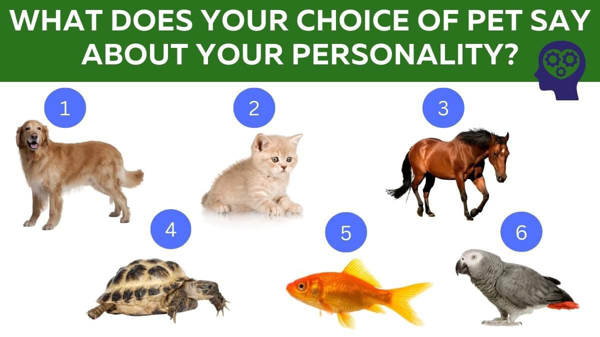 Tes Kepribadian: Hewan Peliharaan Favorit Apa Pilihan Anda, Apa Katanya Tentang Anda?