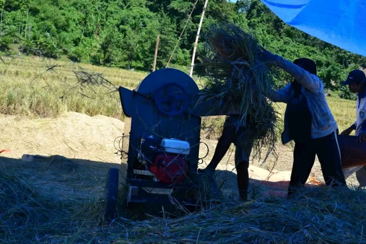 Petani Padi Diingat Zakat