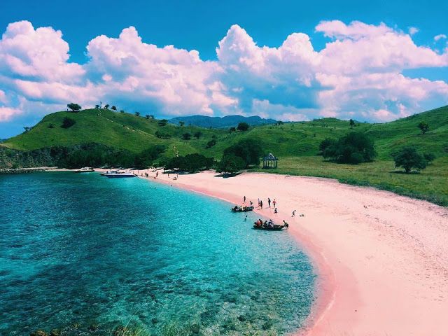 Mengintip Surga Pulau Komodo, Pantai Pink Lombok Wisata Indonesia yang Mendunia