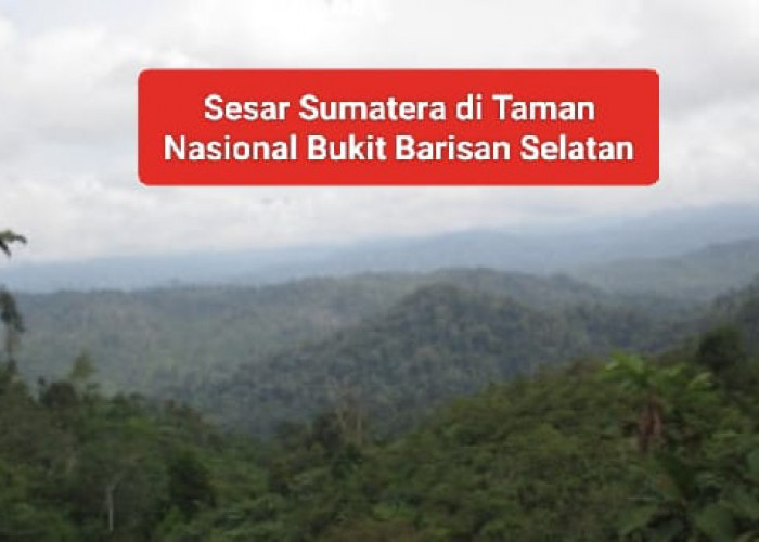 Gempa Bumi Semakin Sering, BMKG Ingatkan Ancaman Sesar Sumatera, Daerah Ini Paling Rawan