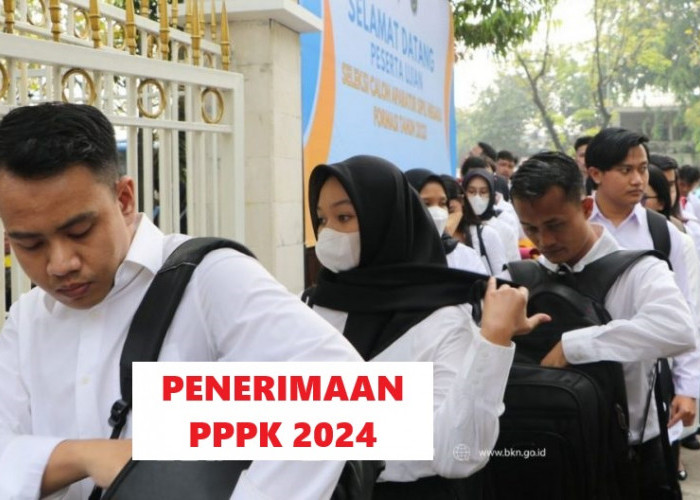 INI, Cara Daftar PPPK 2024 di sscasn.bkn.go.id, Terperinci!!!