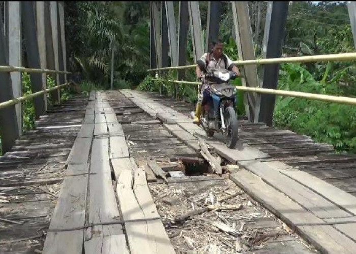 Soal Jalan Rusak dan Jembatan Lapuk, PUPR Kaur: Pembangunan Harus Sepaket!