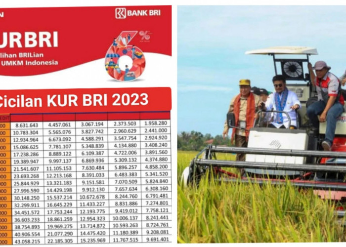 TANPA AGUNAN, Syarat KUR BRI Untuk Petani Terbaru 2023, Angsuran 6 Bulan Sekali, Solusi Modal tanpa Ijon