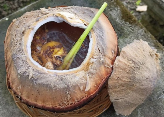 Bravo! Ini Dia 5 Manfaat Rutin Minum Air Kelapa dengan Rempah-Rempah untuk Kesehatan Tubuh