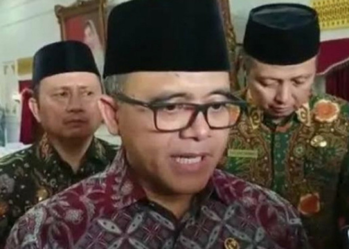 KABAR BAIK, Pemerintah Indonesia Umumkan Status ASN PPPK Bagi Tenaga Honorer Kategori II, III, dan IV 