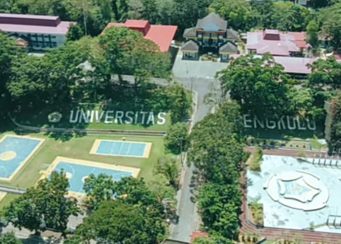 Ajib! Bengkulu Punya 4 Universitas Terbaik se- Indonesia versi Edurank, Cek Kampusmu Sekarang!  