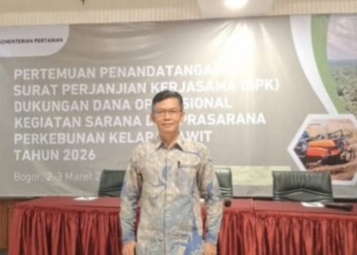 Dorong Sektor Perkebunan Kelapa Sawit, Pemda Kabupaten Jajaki Program Replanting