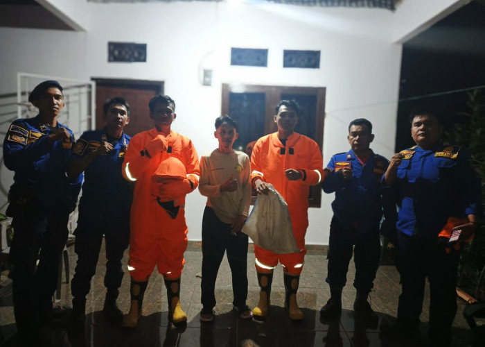 Damkarmat Kabupaten Kaur OTT Tawon Vespa di Kelurahan Simpang 3