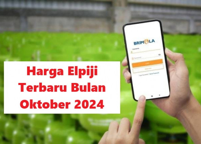 Harga Terbaru Elpiji di Setiap Wilayah Berlaku Bulan Oktober 2024, Khusus LPG 5,5 Kg dan 12 Kg