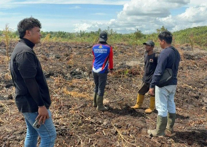 Niat Basmi Sarang Tawon, Lahan Kebun 3 Hektare justru Terbakar, Berurusan Dengan Polisi