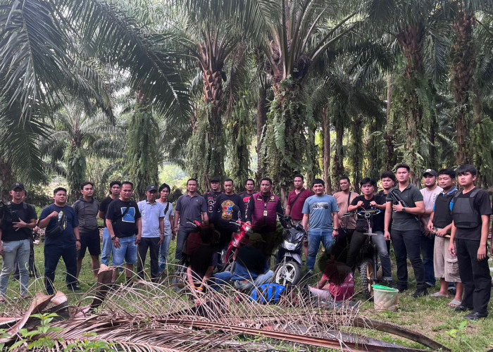 Polres Kaur Gerebek Judi Sabung Ayam dan Dadu di Tanjung Kemuning, 3 Orang Ditangkap