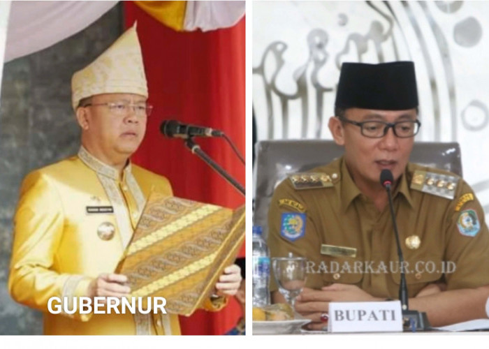 Gubernur Bengkulu Rilis IPKD Kabupaten Kota, Kaur Tertinggi, Berikut 6 Dimensi Penilaian