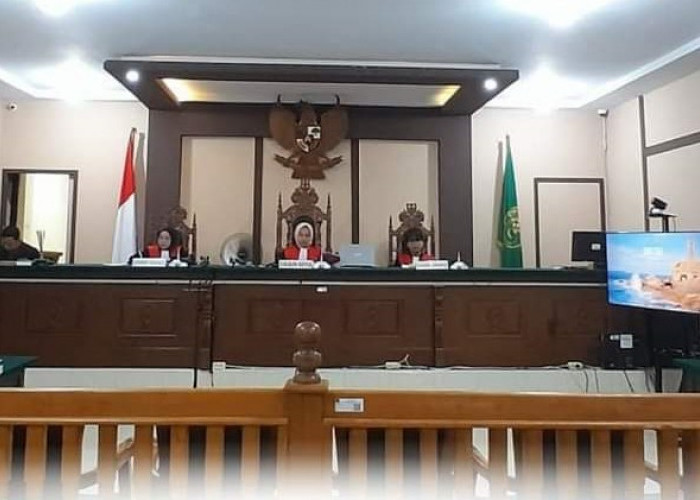 Kasus Pidana Pemilu di Kabupaten Kaur, Majelis Hakim Bacakan Vonis Tanpa Dihadiri Terdakwa, Segini Hukumannya