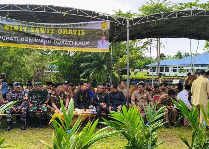 Bupati Kaur Gusril Pausi: Masyarakat Sangat Berperan atas Keberhasilan Program Bibit Sawit
